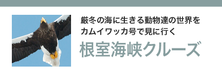 根室海峡クルーズ