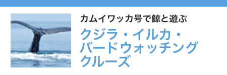 ホエール・バードウォッチングクルーズ