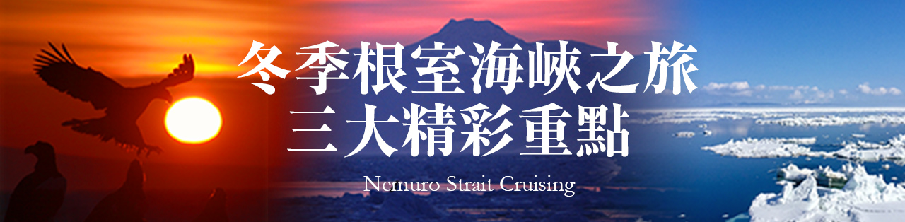 冬季根室海峽之旅三大精彩重點