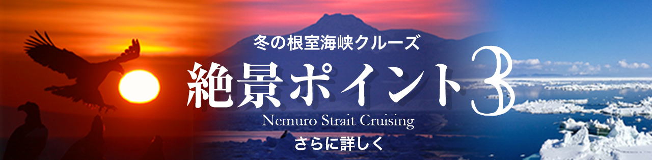 冬の根室海峡クルーズ 絶景ポイント