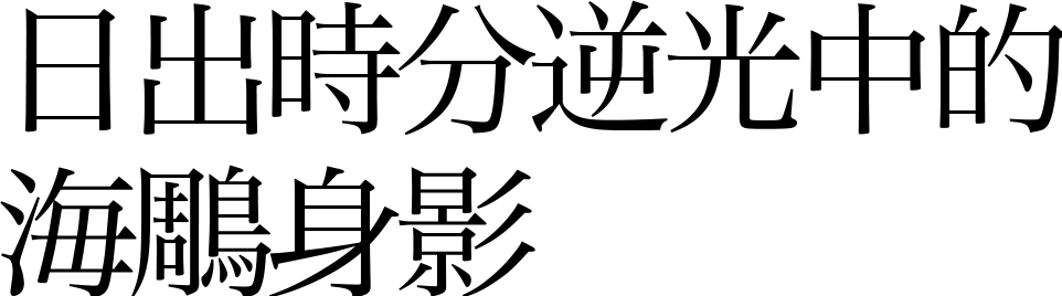 日出時分逆光中的海鵰身影
