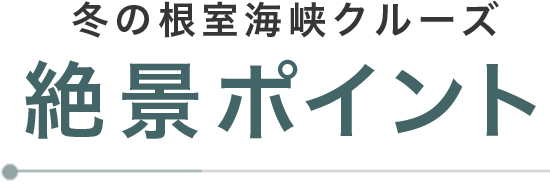 根室海峡クルーズ 冬の絶景ポイント